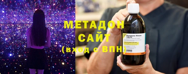 прущие грибы Алексеевка