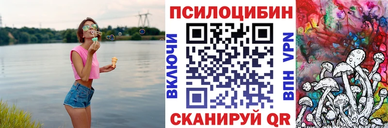 Псилоцибиновые грибы Magic Shrooms  где купить наркоту  Зверево 